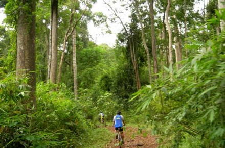 Cycling Cat Tien national park