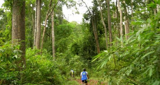 Cycling Cat Tien national park