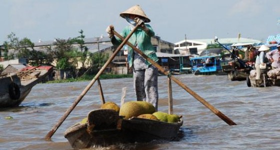 Jackfruit at PhongDien floating market